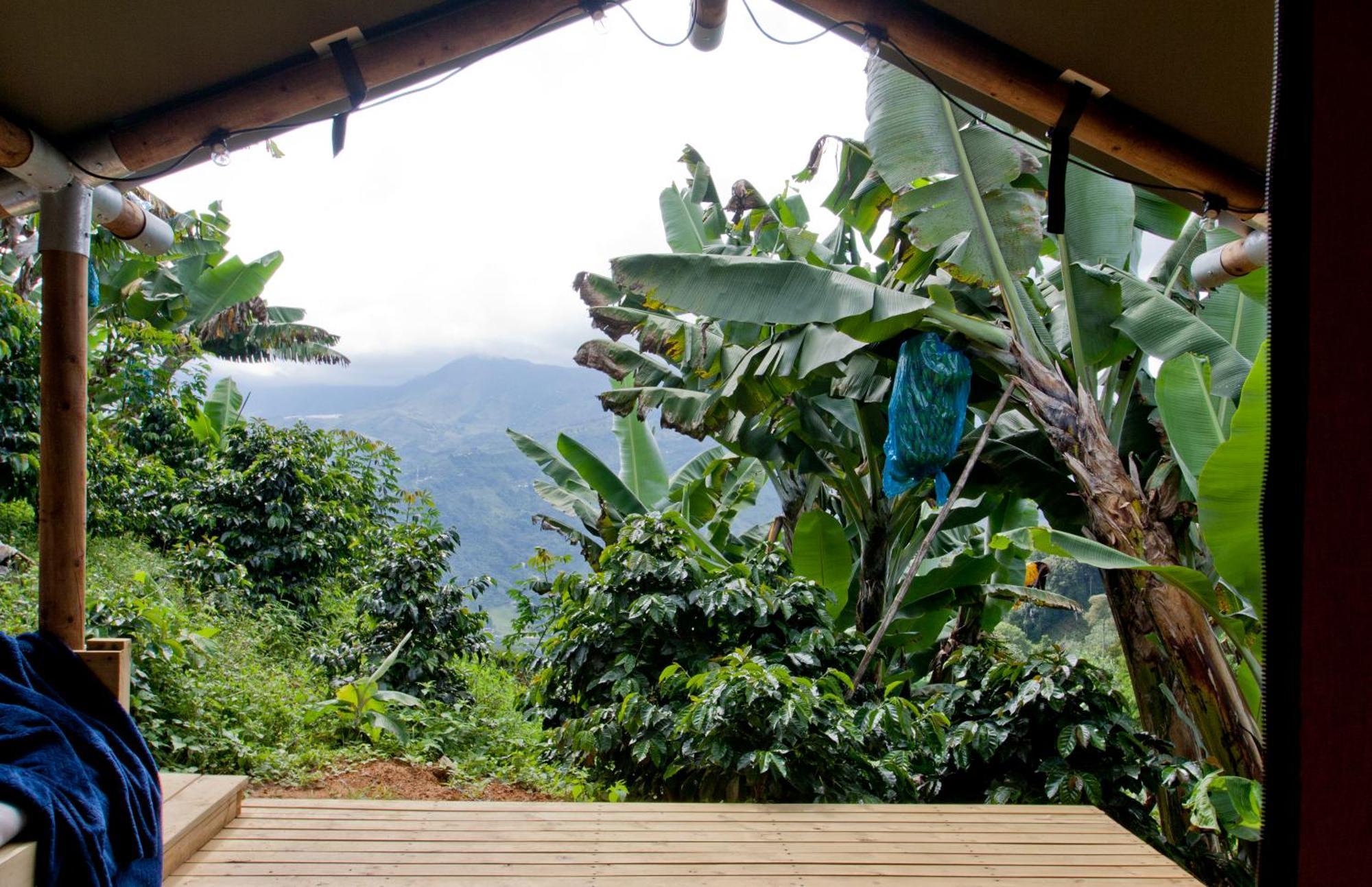 Glamping Jardin Hotel Ngoại thất bức ảnh